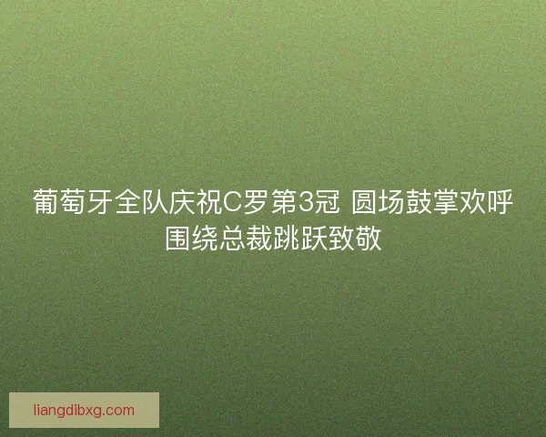 葡萄牙全队庆祝C罗第3冠 圆场鼓掌欢呼围绕总裁跳跃致敬
