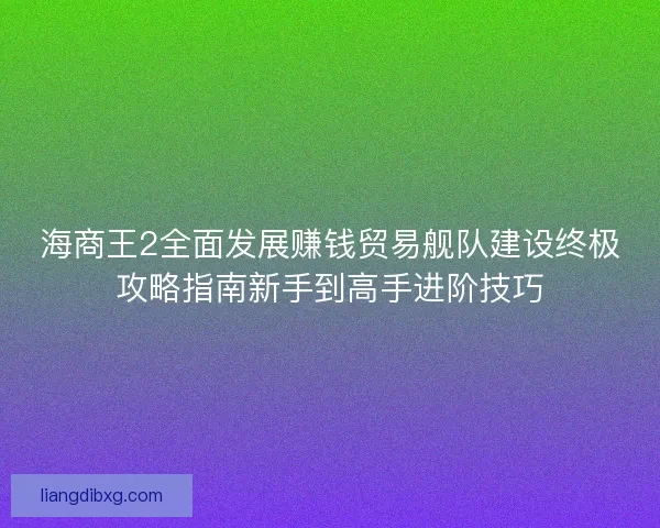 海商王2全面发展赚钱贸易舰队建设终极攻略指南新手到高手进阶技巧